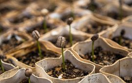 christian-joudrey-90289-unsplash